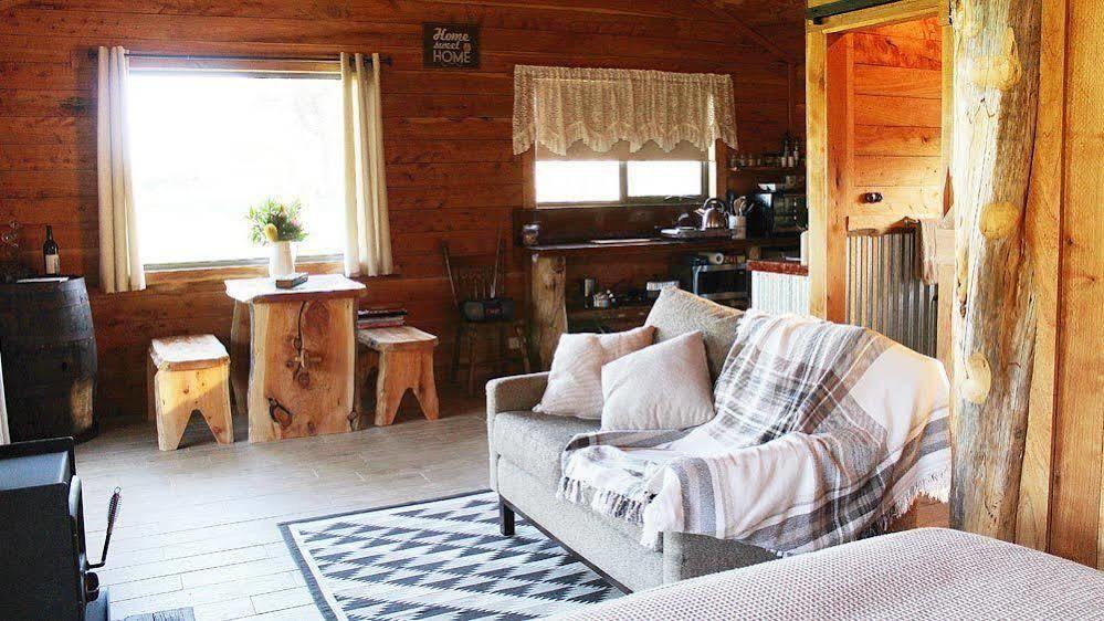Bed and Breakfast Rustic Hut Bush Retreat à Penguin Extérieur photo